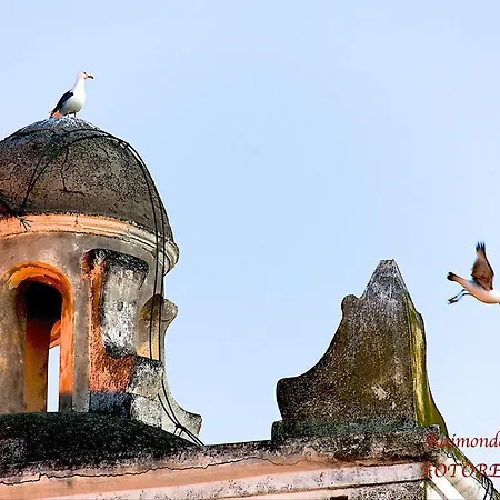 Lieta B&B 이스키아